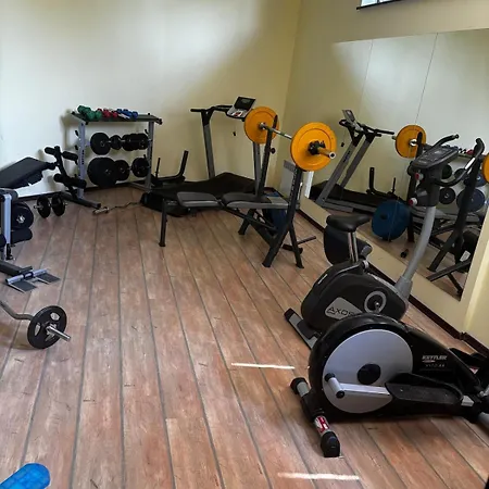 Alpine In Apartment *