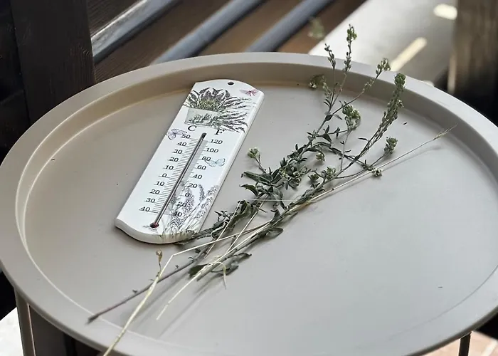 Appartement Alpine In Bansko