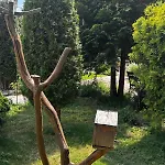 Alpine In Bansko