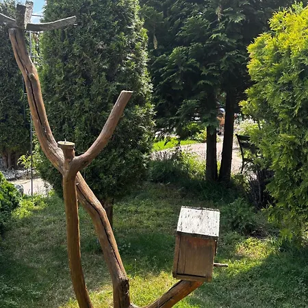 Alpine In Banszko
